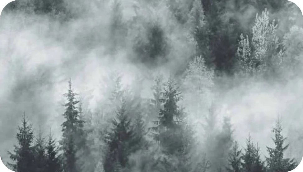 Cloud forest wallpaper by Marburg